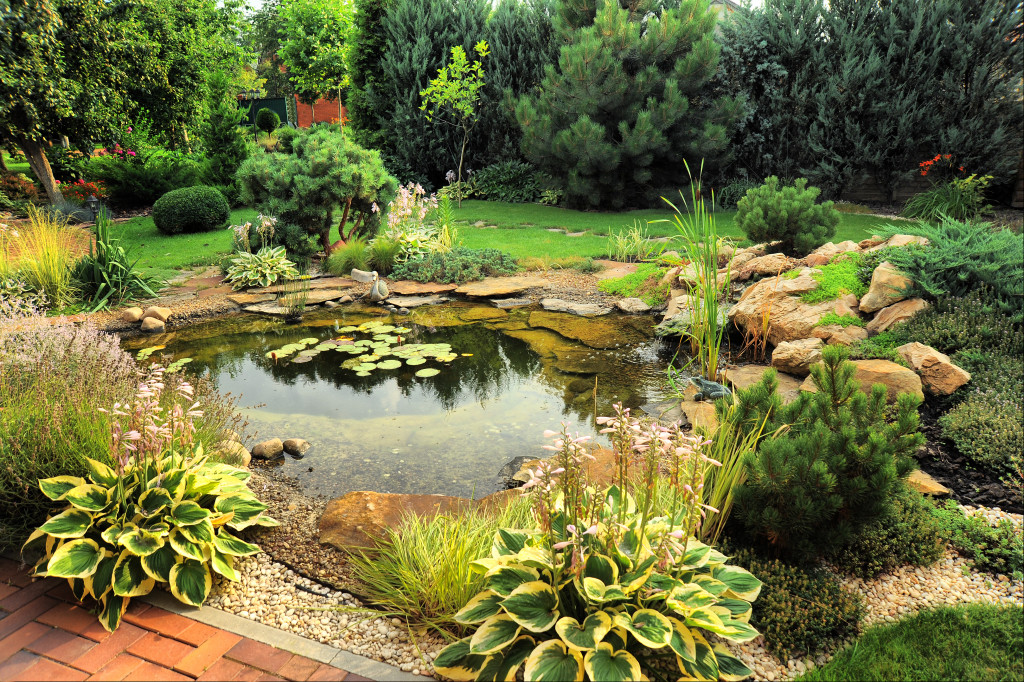 a garden with a small pond 