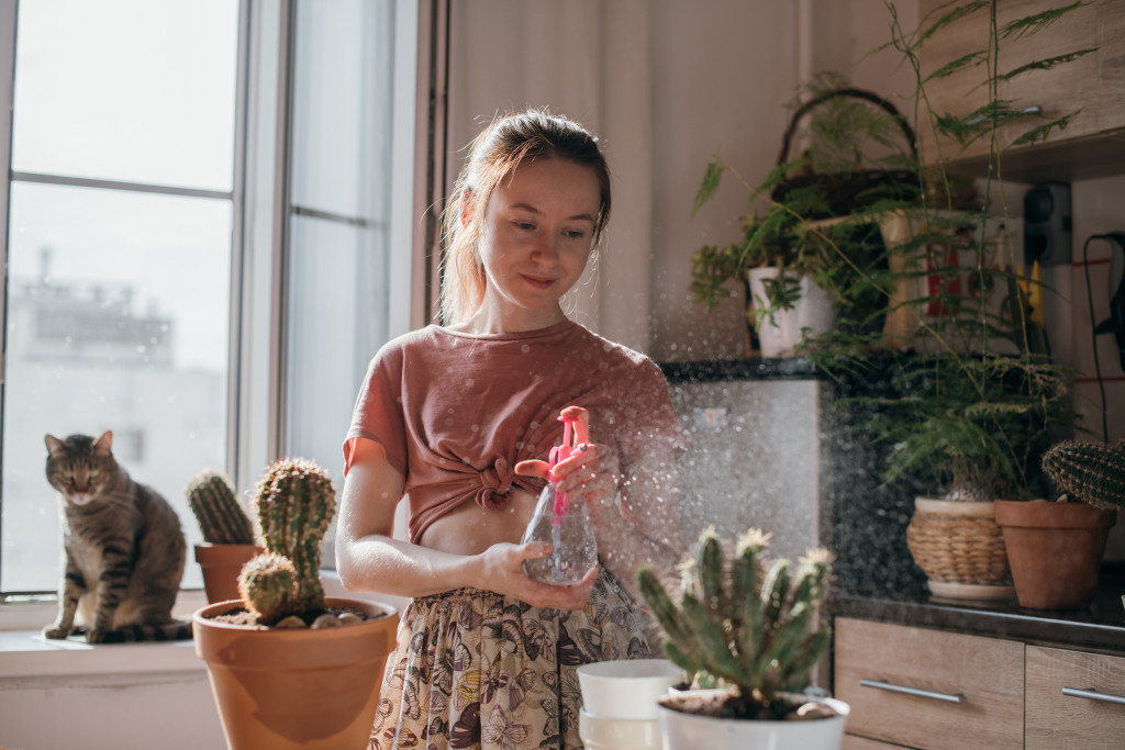 woman spraying water to her potted plants